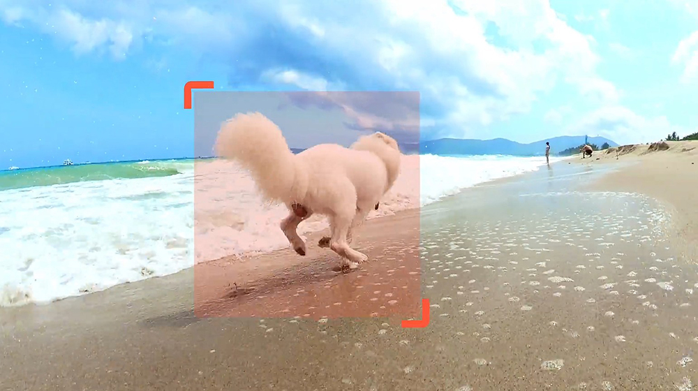 Insta360 ONE RS 1-Inch 360 Edition Action Camera