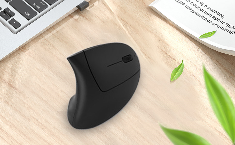 mouse