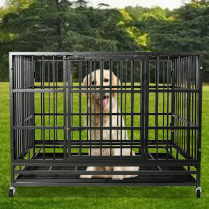 image for this item