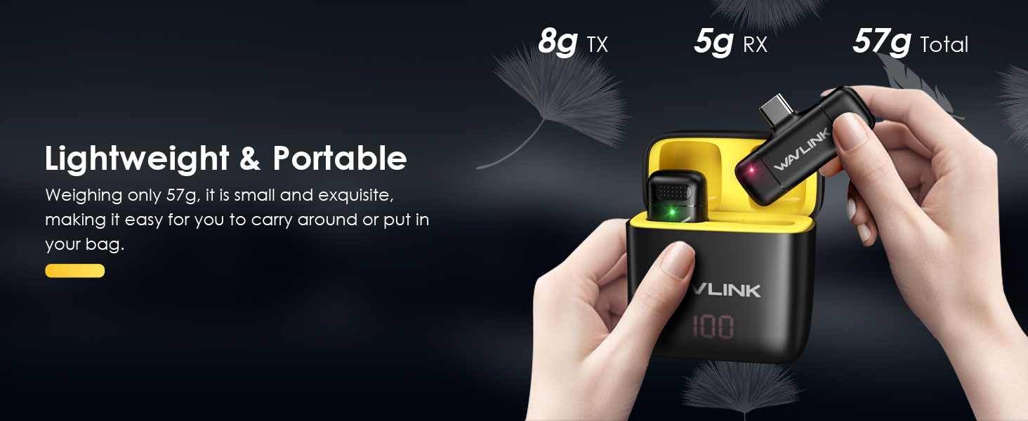 wireless microphone