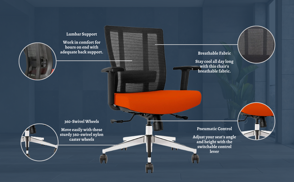 image for this item