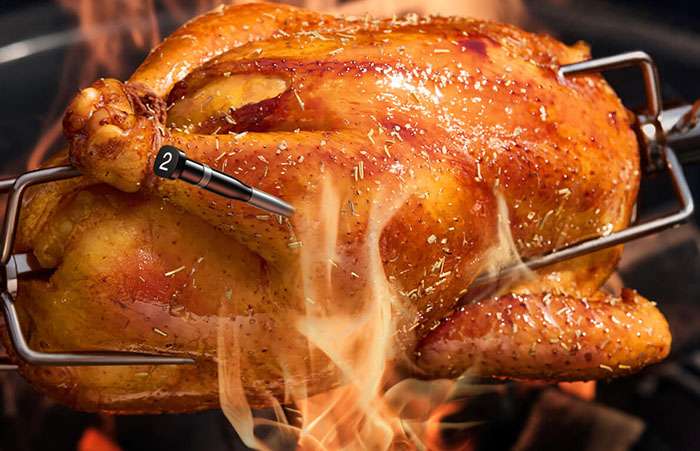 Typhur Sync Dual Smart WiFi Wireless Meat Thermometer