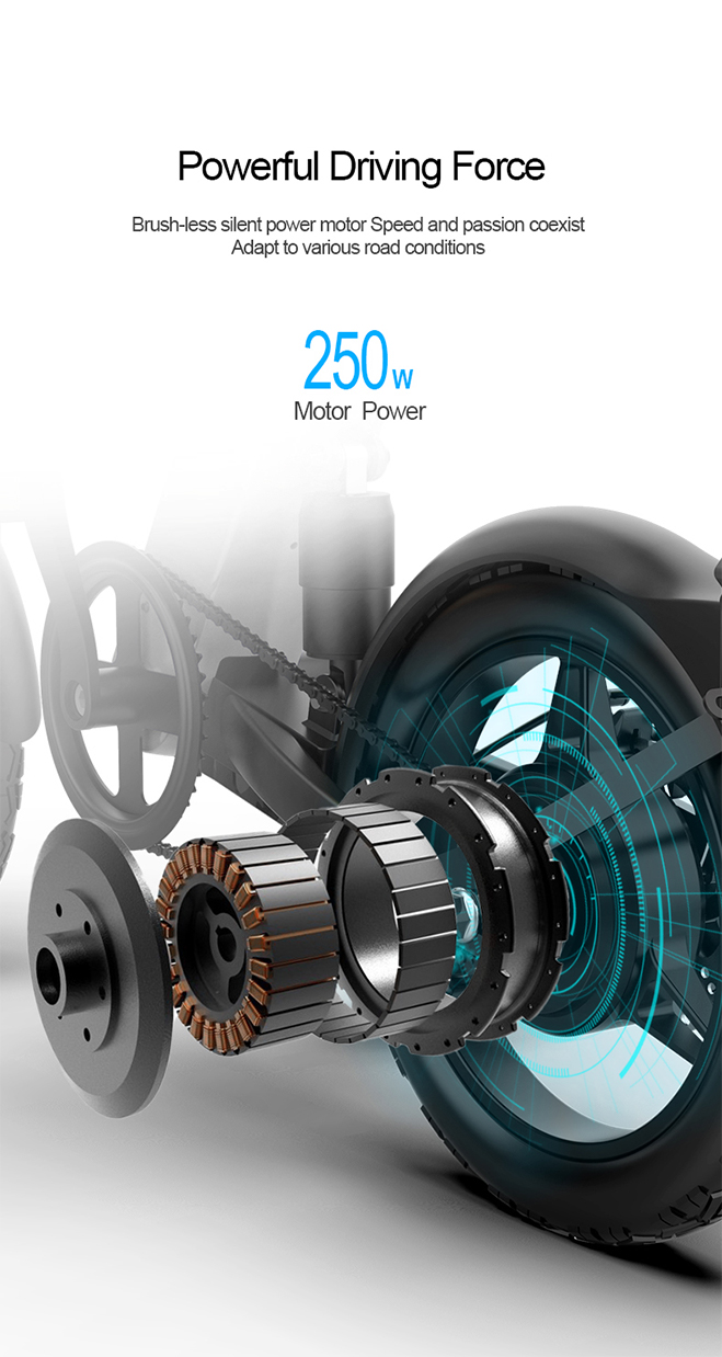 250W motor