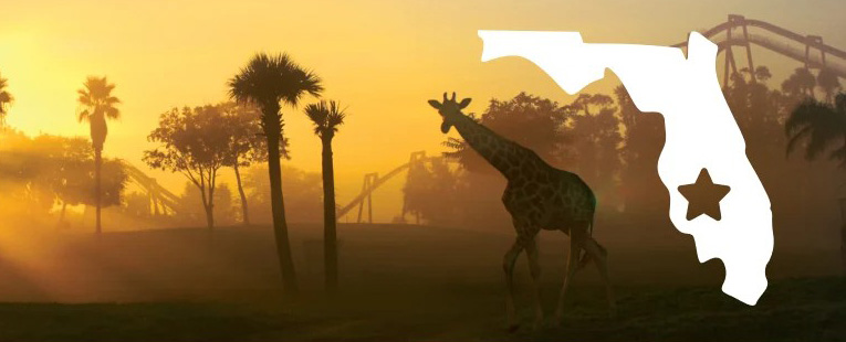 United Parks & Resorts E-Gift Card