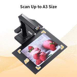 image for this item