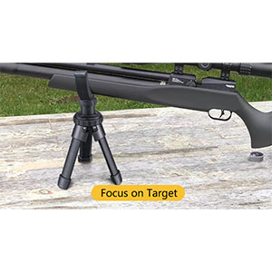 image for this item