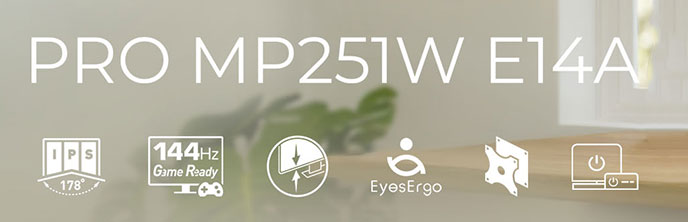 MSI PRO MP251W E14A IPS FHD Monitor