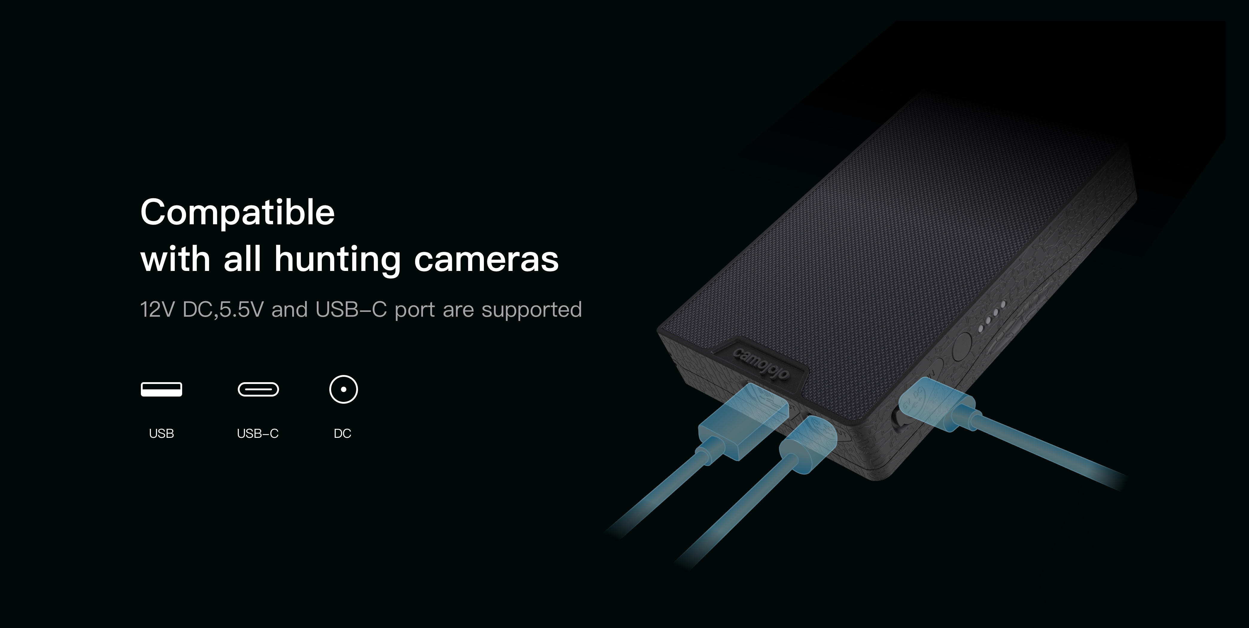 image for this item