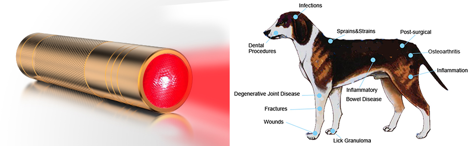 Used to relieve pain in all parts of the pet's body