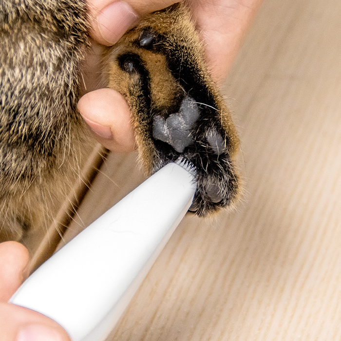 URBANER Pet Electric Trimmer/Clipper for Small Cats, Professional Groomer for Hair Around Paws, Eyes