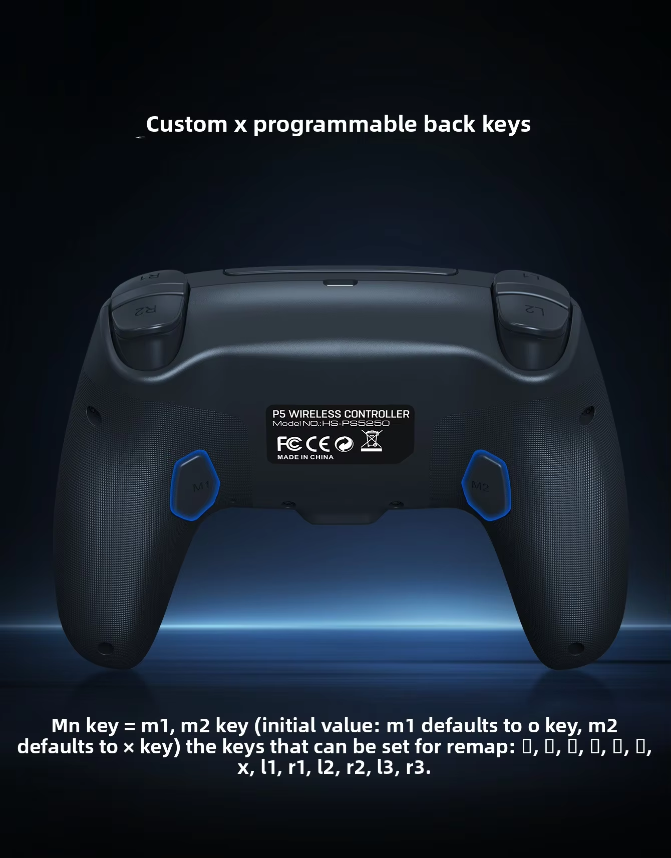 Custom Programmable Back Keys