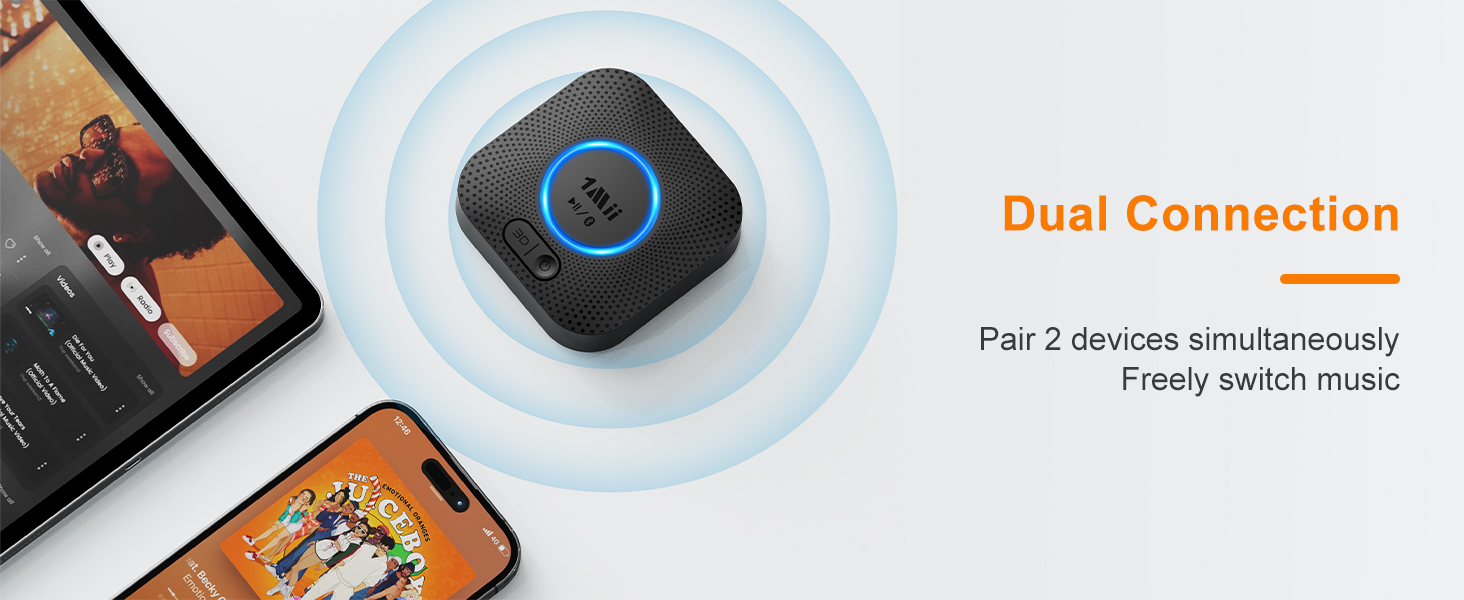 1Mii B06+ Bluetooth Receiver