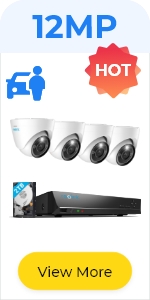 image for this item