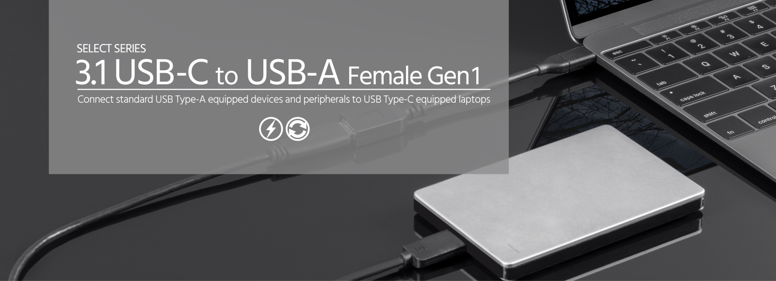 USB Type-C to USB Type-A Female 3.1 Gen 1 Extension Cable - 5Gbps, 3A, 30AWG