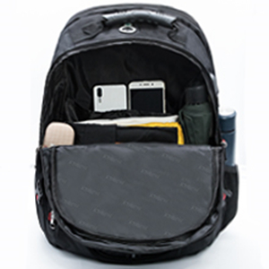image for this item