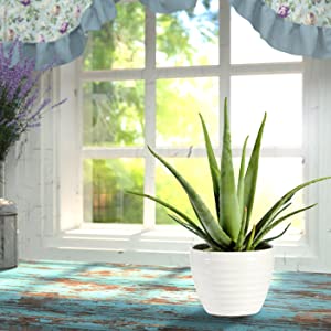 image for this item