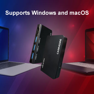 Supports Windows and macOS