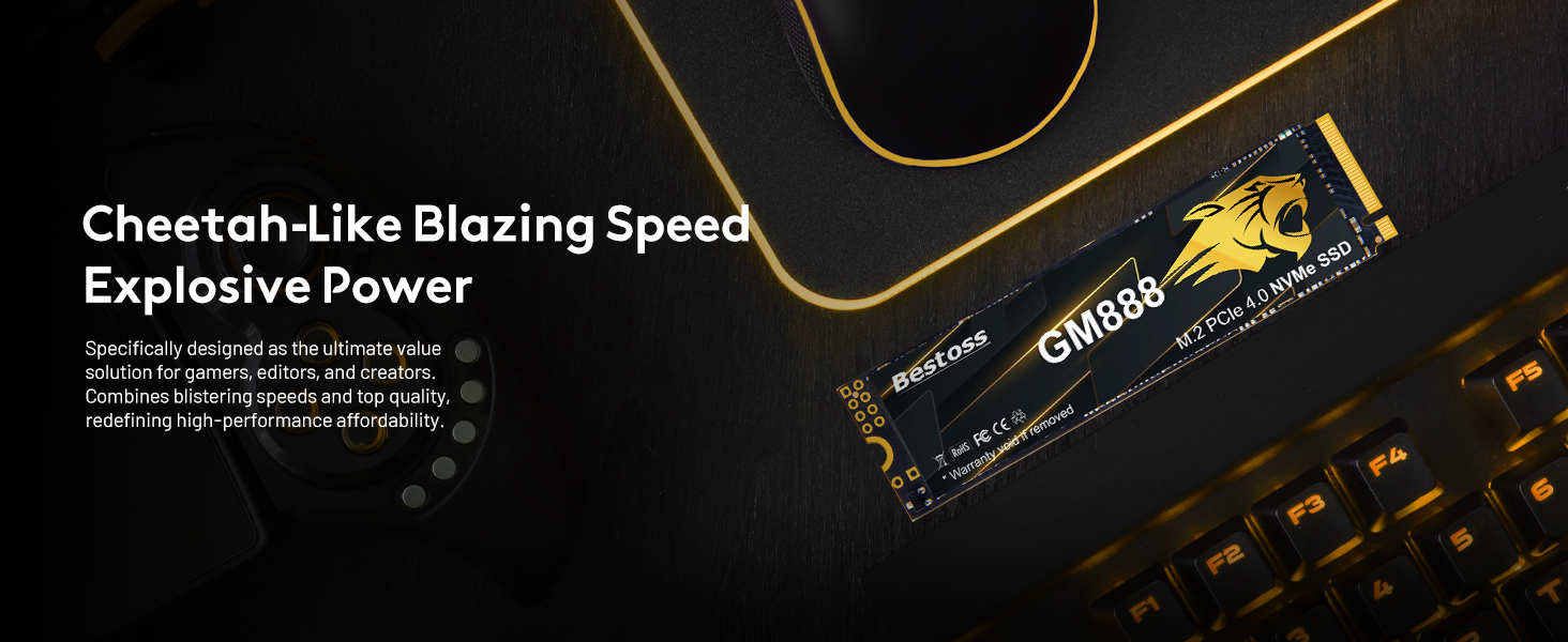 SSD NVME