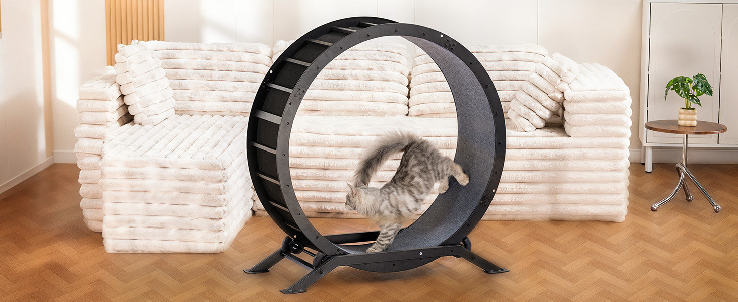GTPLAYER Cat Wheels