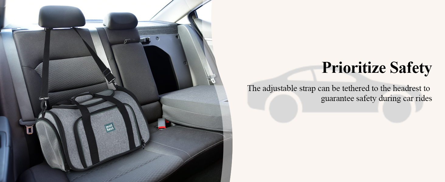 travel in cars