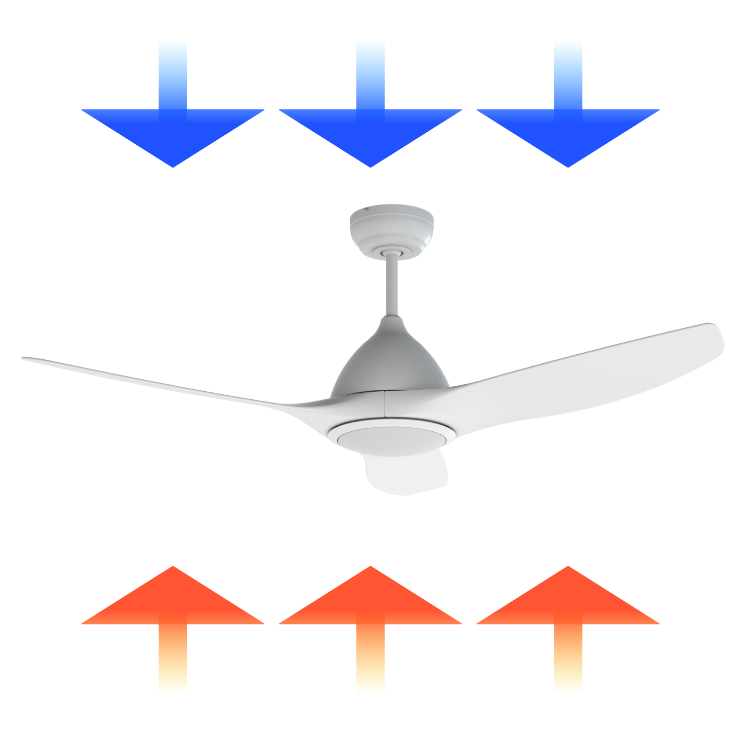 image for this item