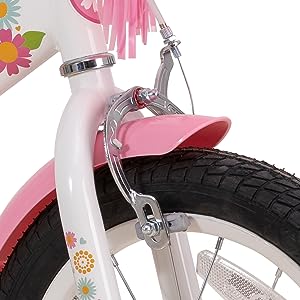 Front Caliper &amp; Rear Coaster Brake