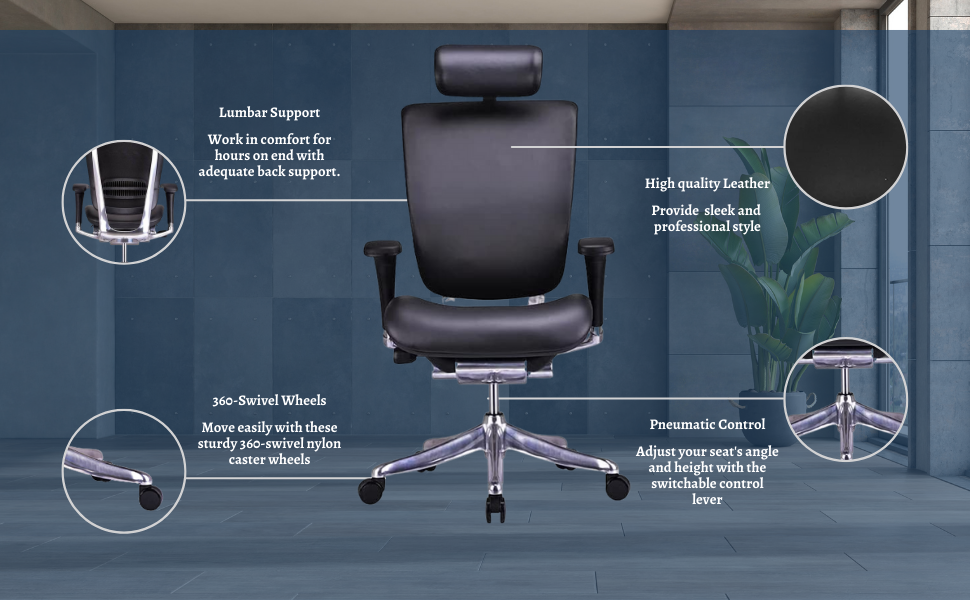image for this item