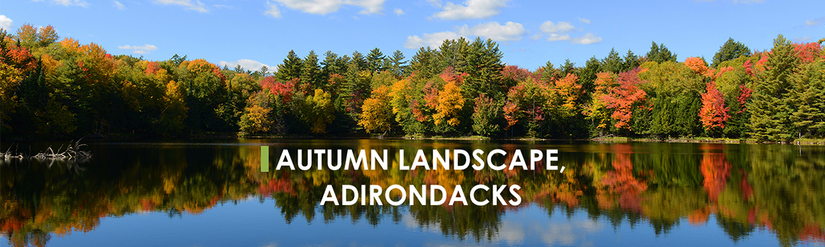 adirondack chair