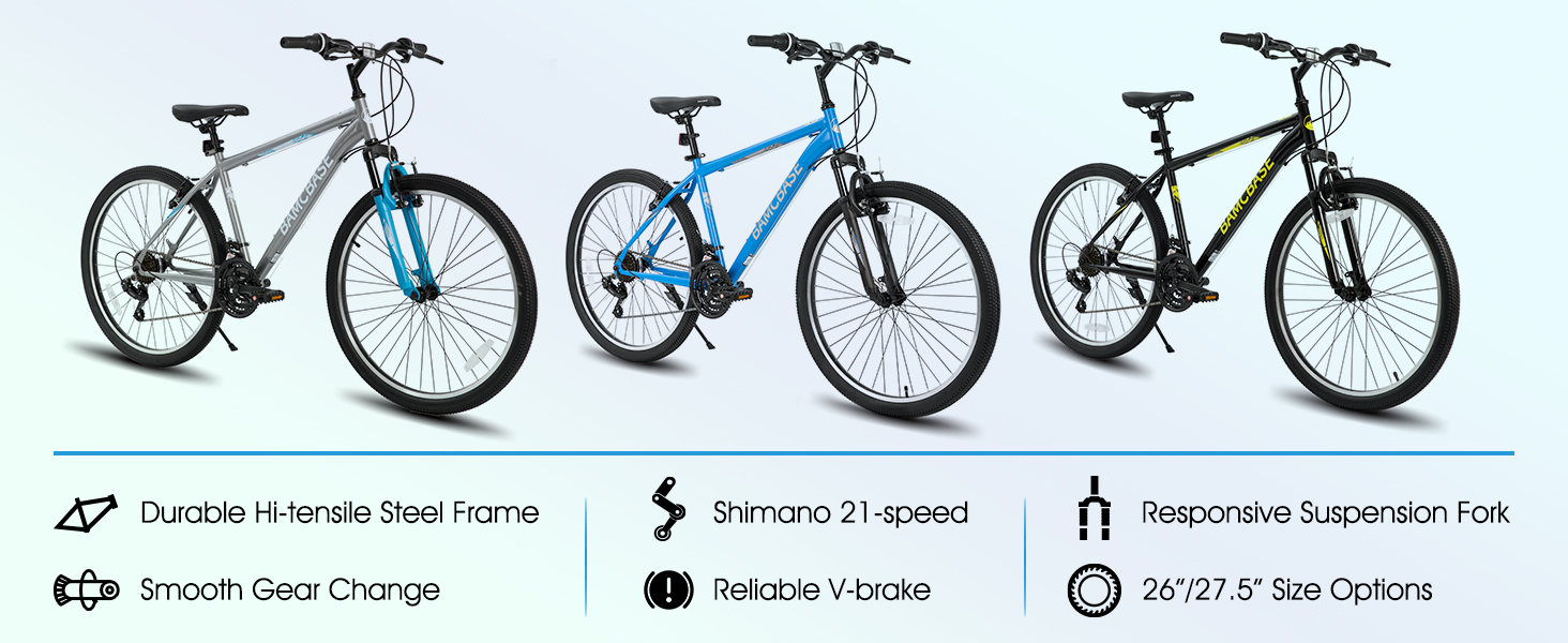 Product Introduction