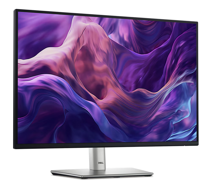 Dell P2425 Pro 24 Plus 16:10 Monitor