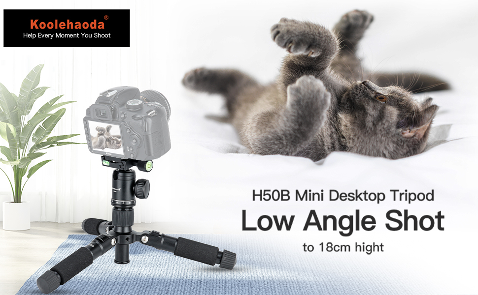 Compact Mini Tripod