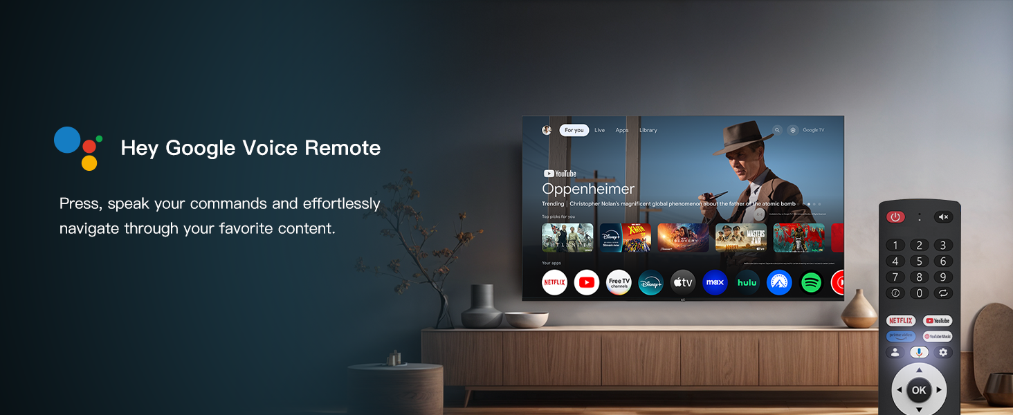 Hey Google Voice Remote