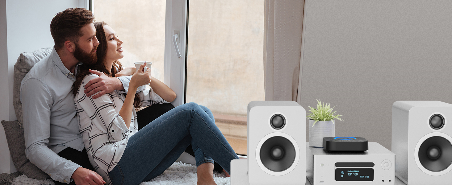 1Mii B06+ Bluetooth Receiver