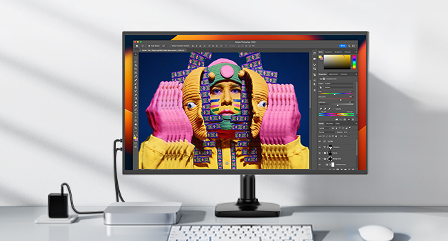 Monitor