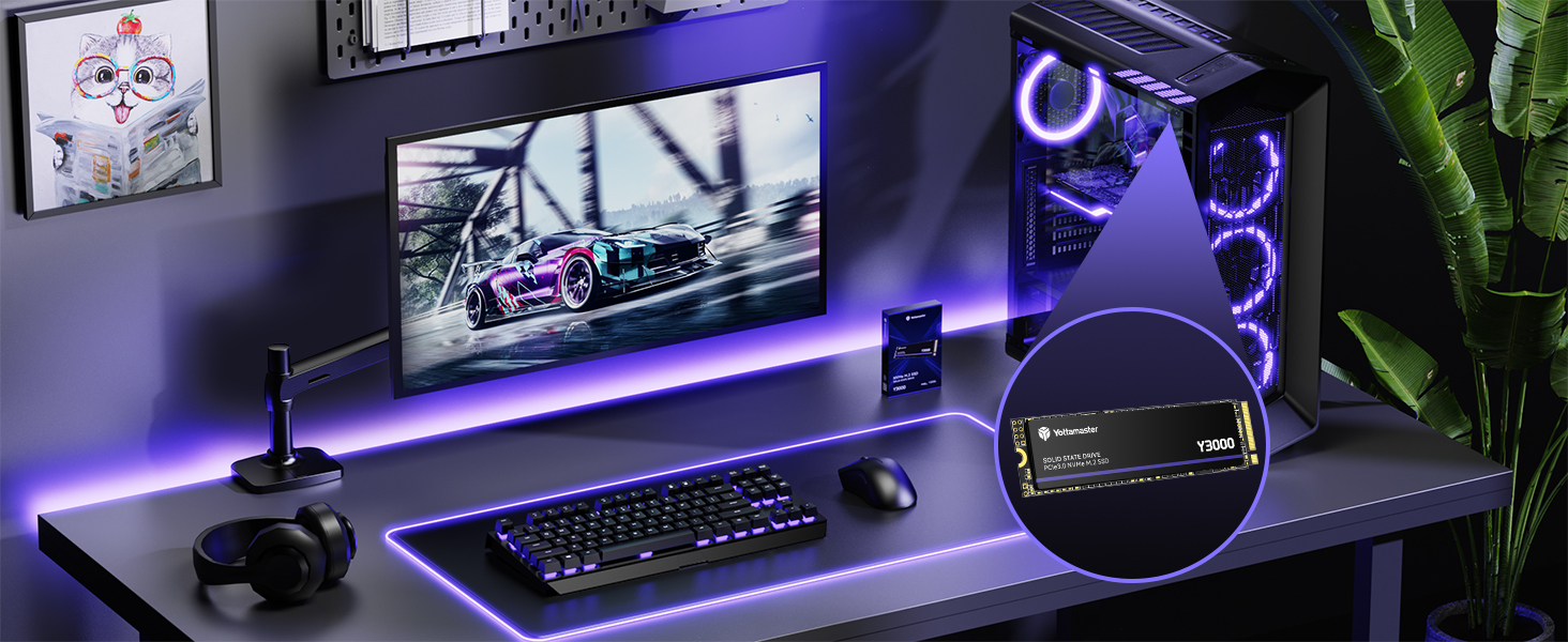 SSD