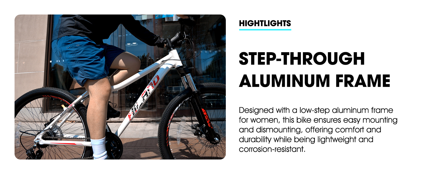 Step-Through Aluminum Frame