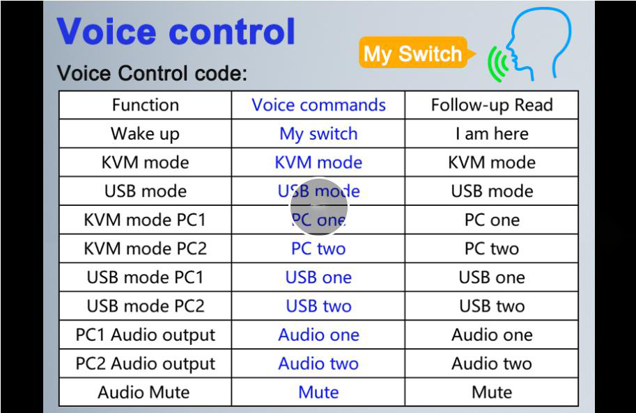 Voice Switch between 2 Computers