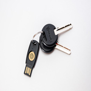 image for this item