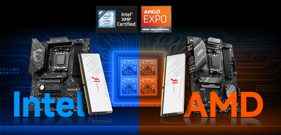 Kingbank RGB 288-Pin PC RAM DDR5 Desktop Memory