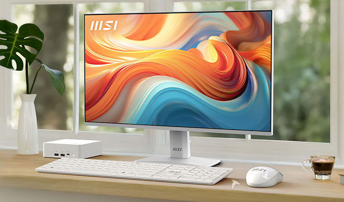 MSI PRO MP251W E14A IPS FHD Monitor