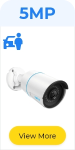 image for this item