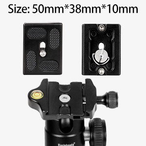 image for this item