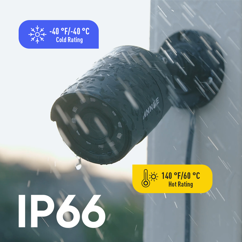 image for this item
