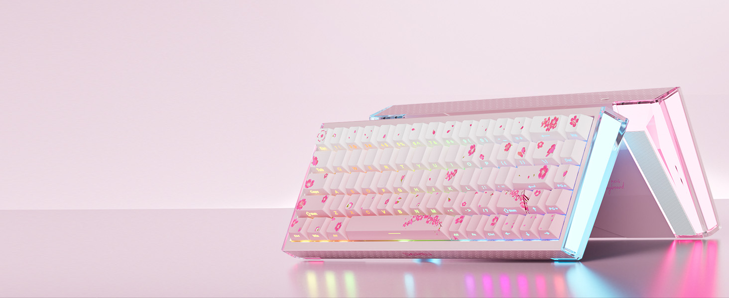 DAREU COOL68 Magnetic Gaming Keyboard