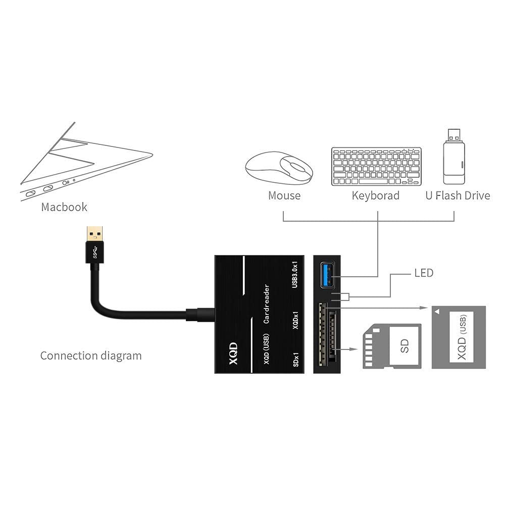 Lettore Schede Card Memoria Lexar XQD con USB schede SD Serie M e G USB 3.0  500m