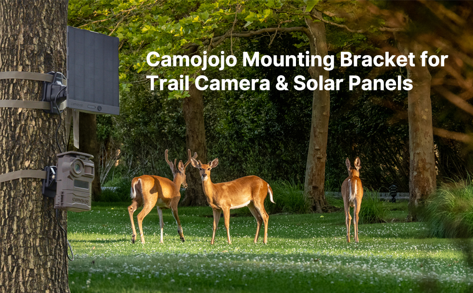 trail camera