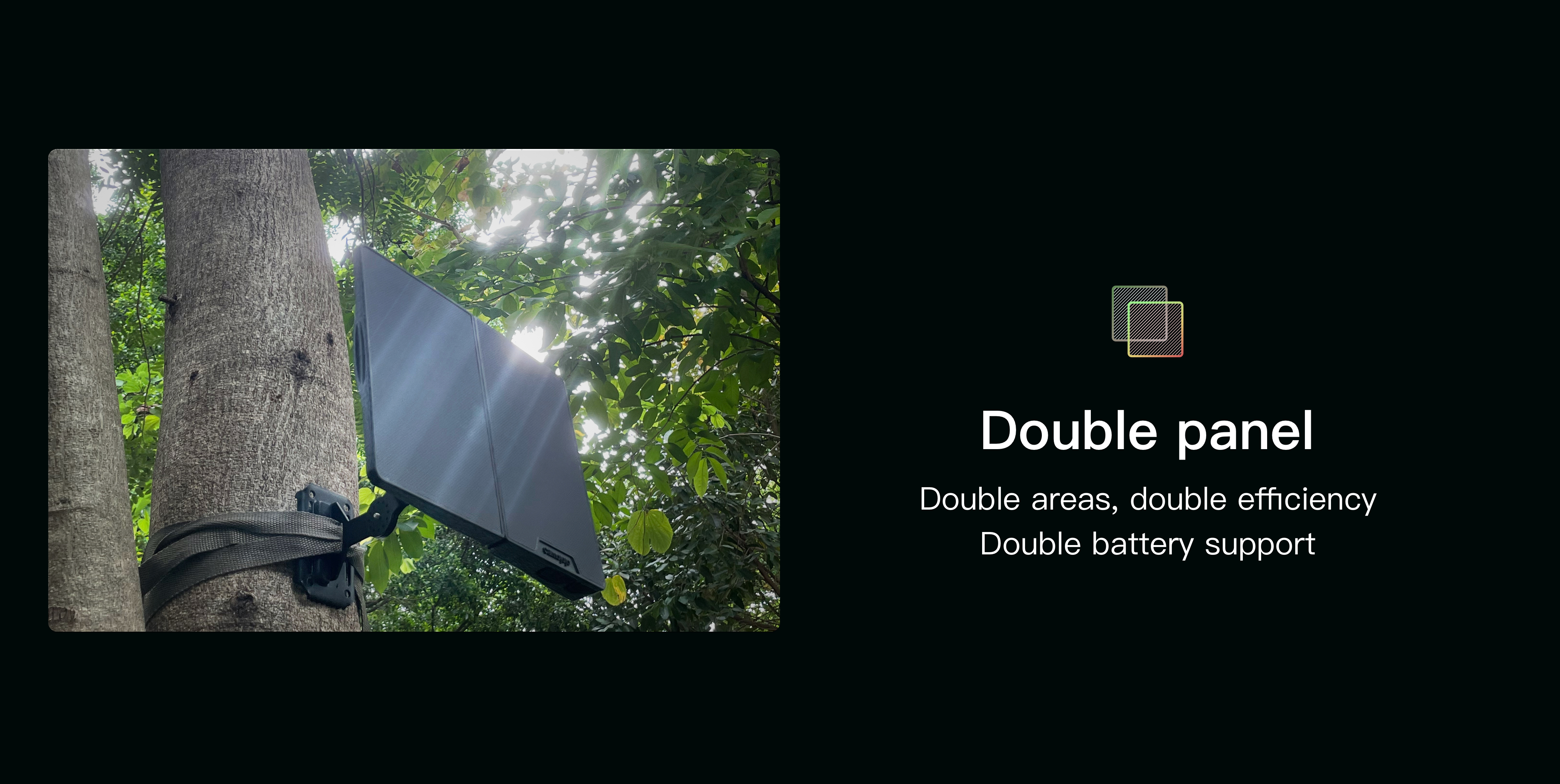 image for this item