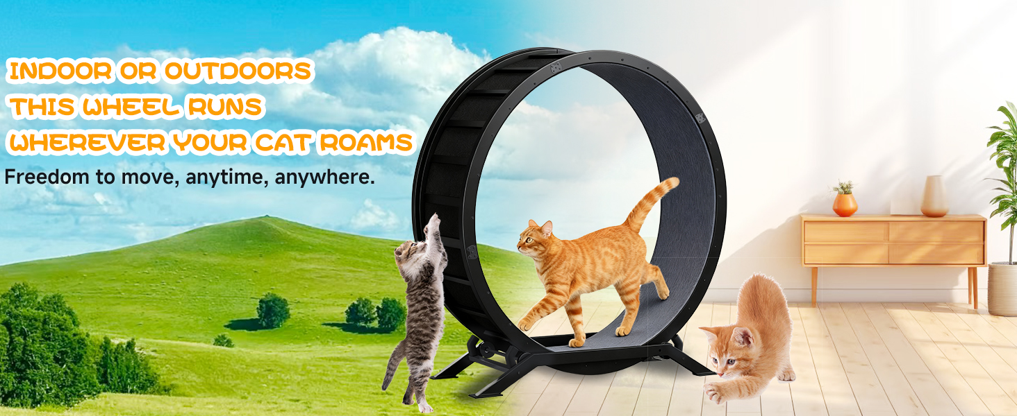 GTPLAYER Cat Wheels