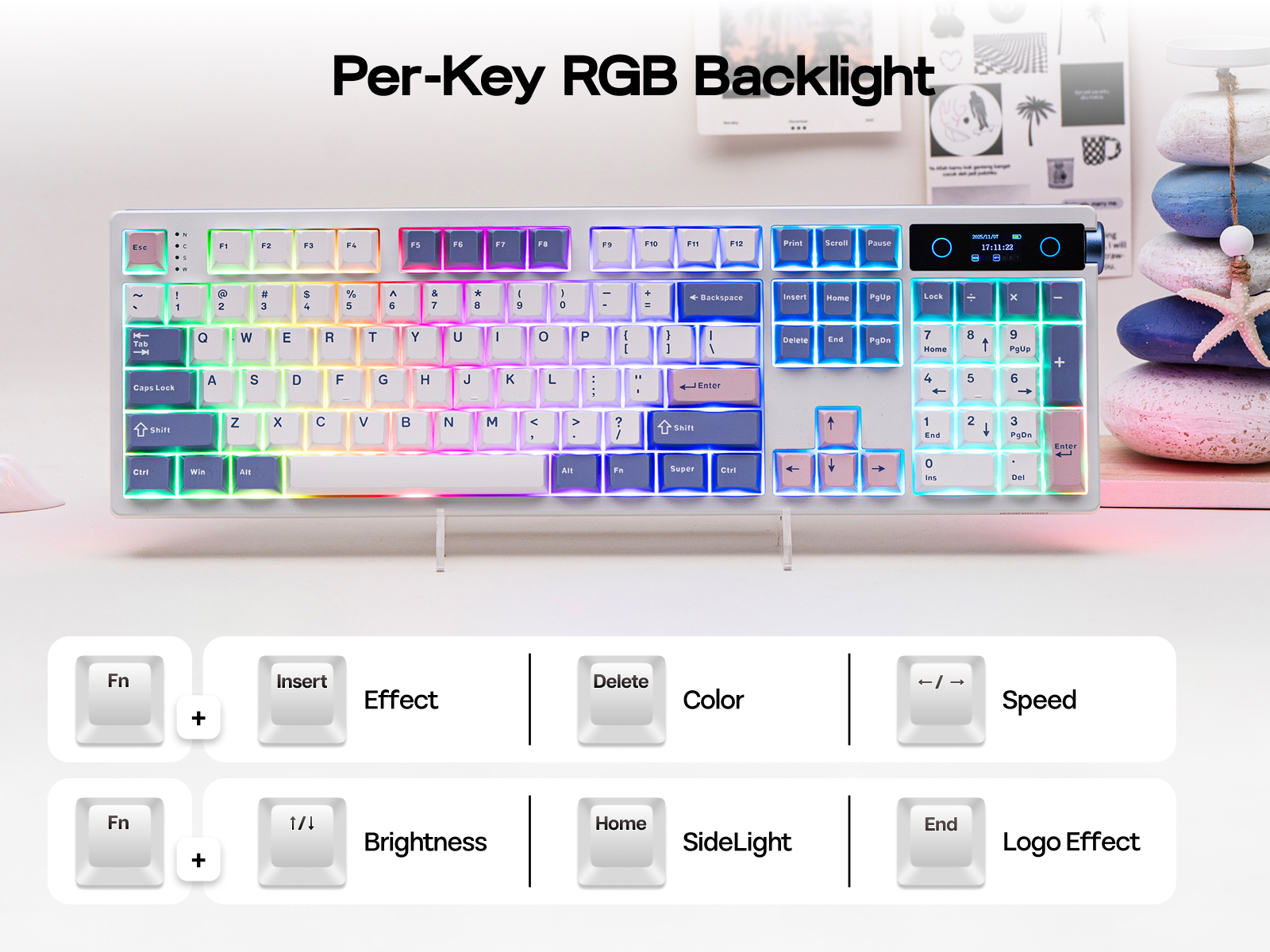 Dynamic RGB & Single Color