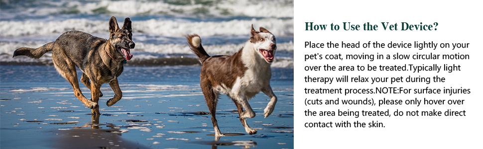 How to Use the Vet Device?